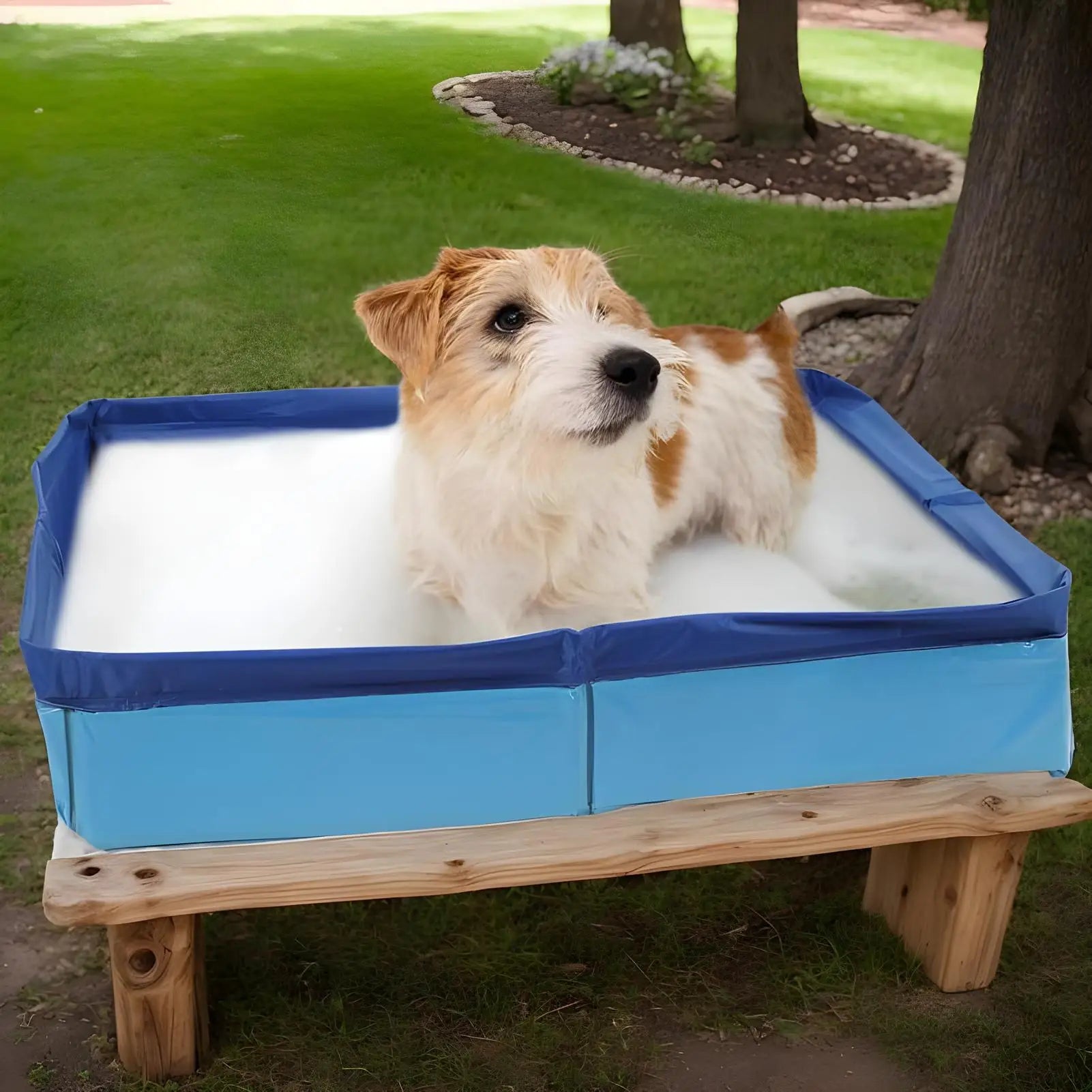Dog Kiddie Pool PVC Folding Swimming Pool For Dog Non-Inflatable Save Space Pet Puppy Bathing Tub For Puppy Cats Other Animals Oasis Select