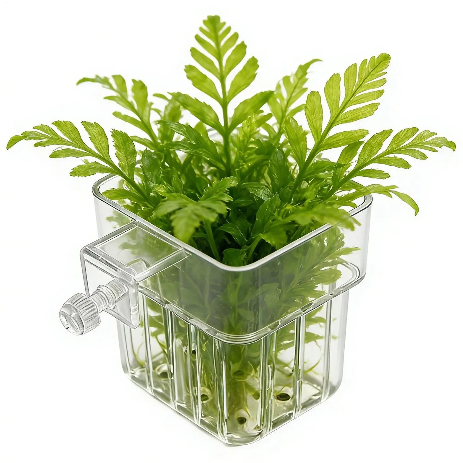 Transparent Hangable Pot Aquarium Plant Holder Aquarium Planter for Fish Tank Hydroponic System Indoor Cultivation Decorations Oasis Select