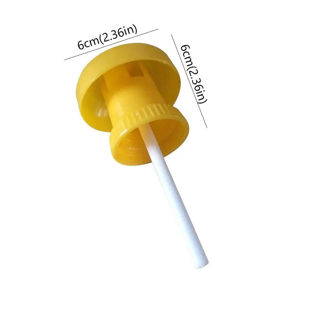 10-Pack Yellow Sticky Fruit Fly Traps | Hanging Insect Catchers Insect Sticky Trap Oasis Select