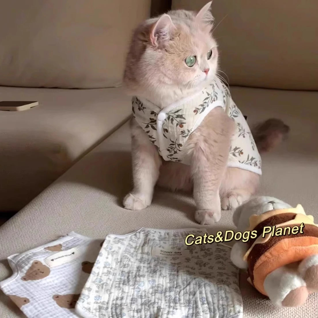 Bear Pet Vest Dog Clothes Cat Solid T-shirt Clothing Dogs Thin Small Fashion Chihuahua Summer Cats Vests Breathable Thin Section Oasis Select