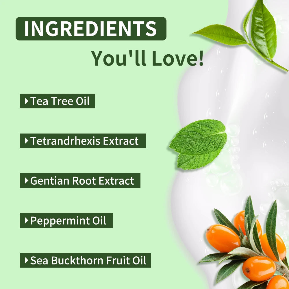 Tea Tree Body Wash – Odor Control, Back Acne & Moisturizing Tea Tree Shower Gel Oasis Select
