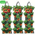 3pcs Hanging Plant Bags with 8 Holes for Strawberries, Multi-Pocket Perforated Grow Bags for Home Fruit Cultivation & Garden Use Oasis Select 3PCS