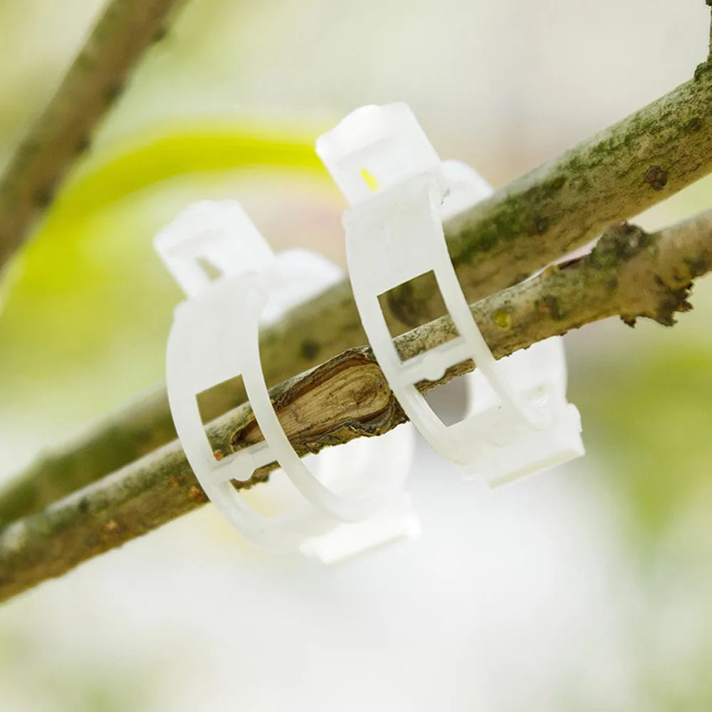 Plant Clips Supports Reusable Plastic Connects Fixing Vine Tomato Stem Grafting Vegetable Plants Orchard and Garden Tools 100PCS Oasis Select Multicolor