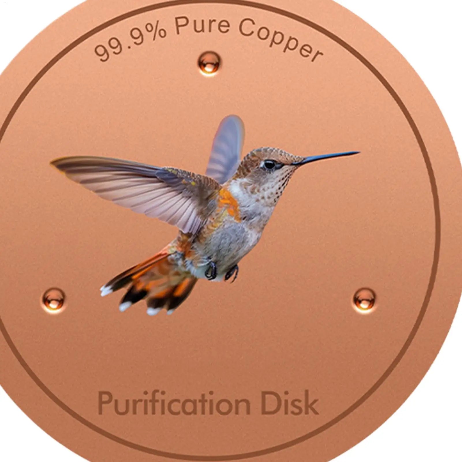 Metal Birds Bath Tray Copper Bird Bath Disk Outdoor Feeder Cleaning Accessories Triple-Point Support Purifier Disc Water Bowl Oasis Select