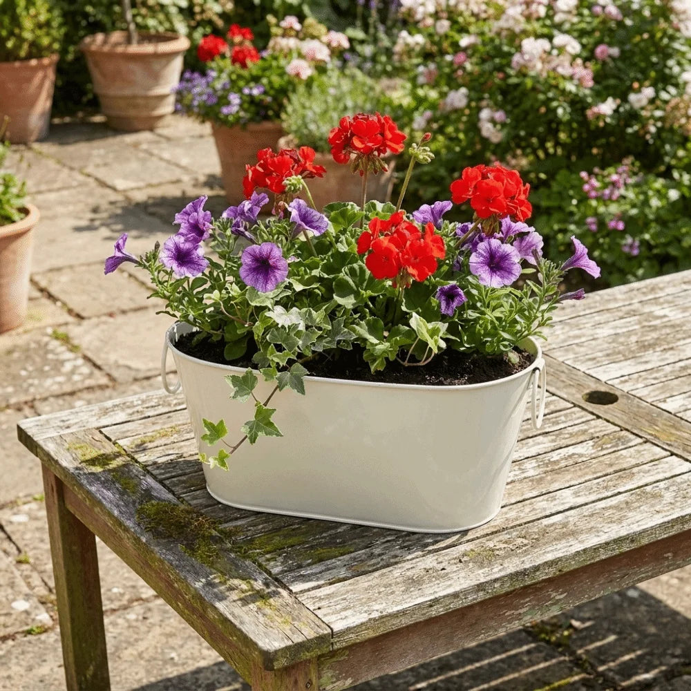Simple Rustic Iron Flower Pot with Drainage with Handle Flower Container Vintage Plant Pot Indoor Plants Oasis Select
