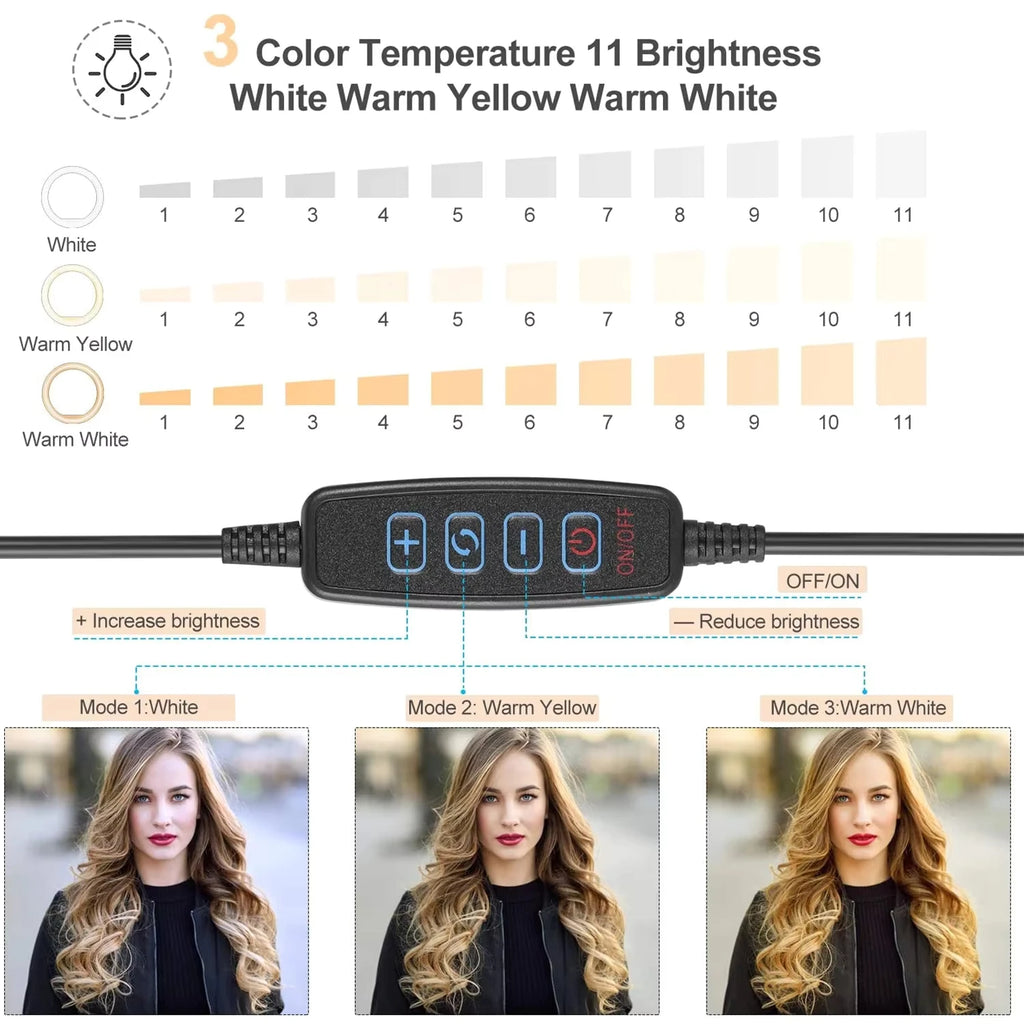 LED Ring Light with Tripod & Phone Holder | VeFly 26cm