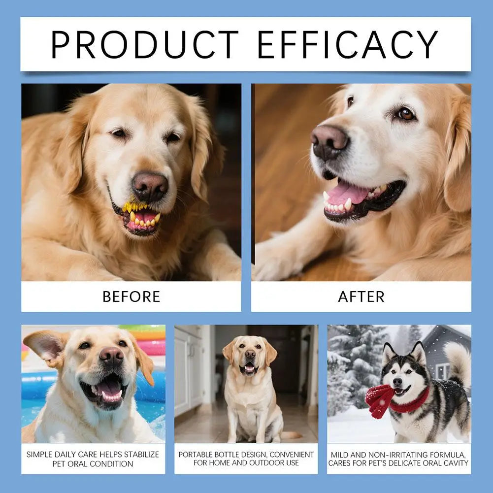 Professional Pet Breath Spray 1/2/3 BOX for Bad Breath Dog Cat Oral Hygiene Cleaner Fresh Scent Gum Protection Plaque Oasis Select
