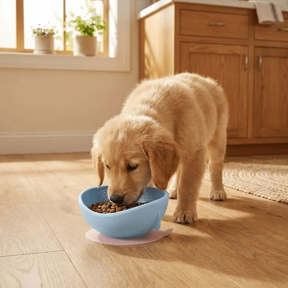 Silicone Suction Cup Pet Bowl – Anti-Spill Slow Feeder
