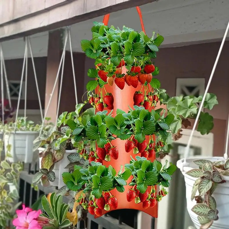 Tomato Planter Bag 8-Hole Hangable Fabric Pouch For Plant Aeration & Growth Gardening Bags For Tomatoes Roses Carrots Potatoes Oasis Select