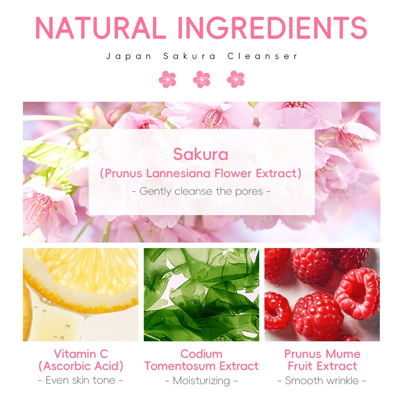 Cherry Blossom Face Wash Day Moisturizing Gentle Foaming Sakura Facial Cleanser Oil Control Pore Minimizing Brightening 50g Oasis Select