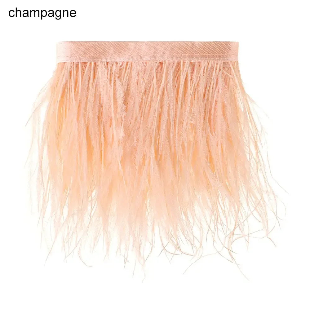 Fashion Ostrich Feathers Trim 1 Meter Long 8-10 CM Wide Plumes Ribbon Selvage DIY Dress Crafts Accessories Feathers Ribbon Oasis Select champagne