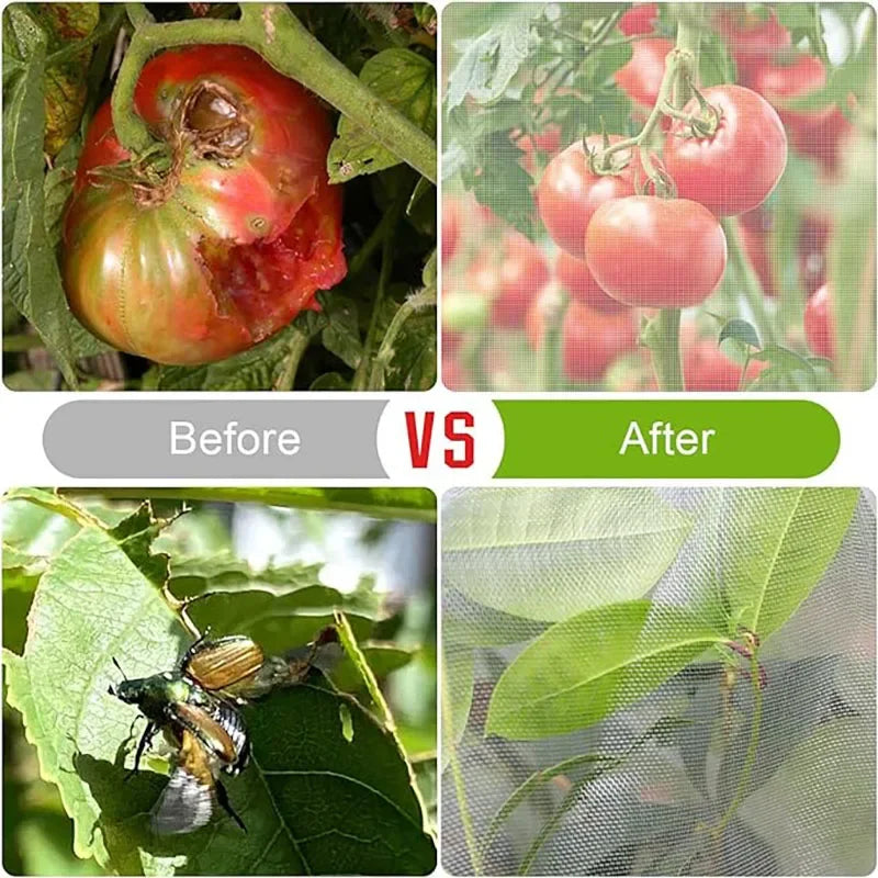Protection Bags for Plants Cover Mesh Netting for Tree Vegetable Strawberry Grapes Pest Control Anti-Bird Protective Bag Oasis Select