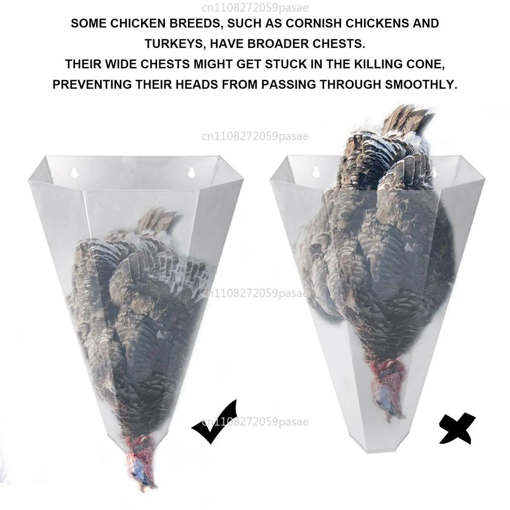 Medium Galvanized Poultry Restraint Cones for Chicken Slaughter - Suitable for Large Laying Hens & Broilers Oasis Select