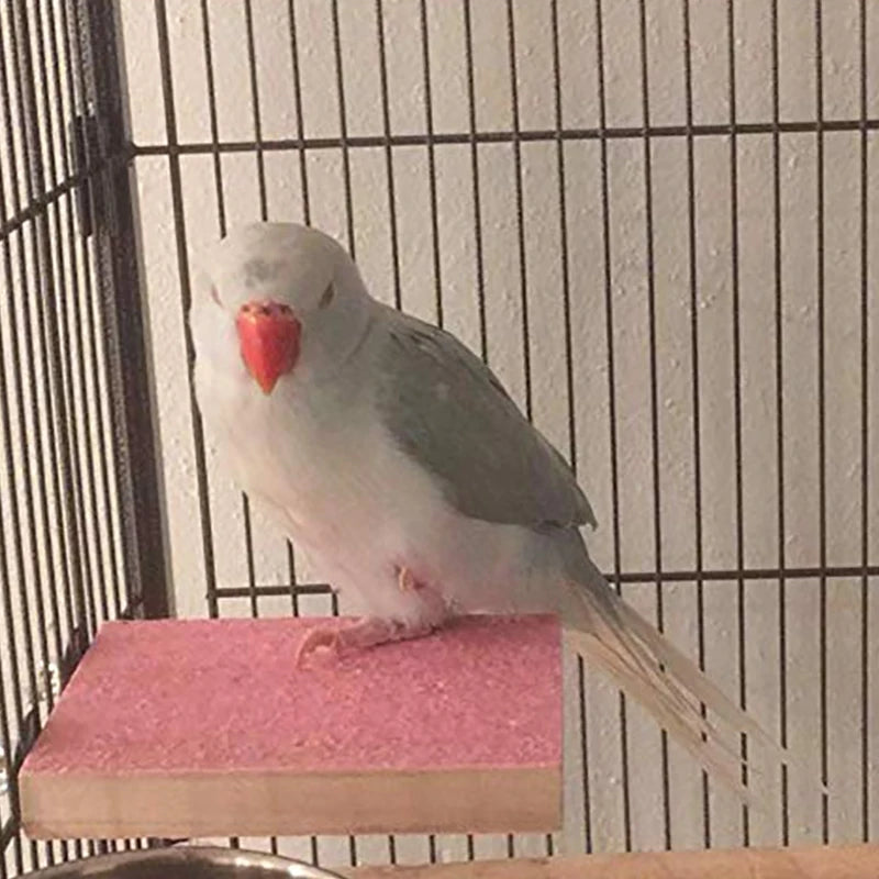 Bird Perch Stand Platform Natural Wood Playground Paws Grinding Clean For Pet Parrot Budgies Parakeet Cockatiels Conure Lovebird Oasis Select