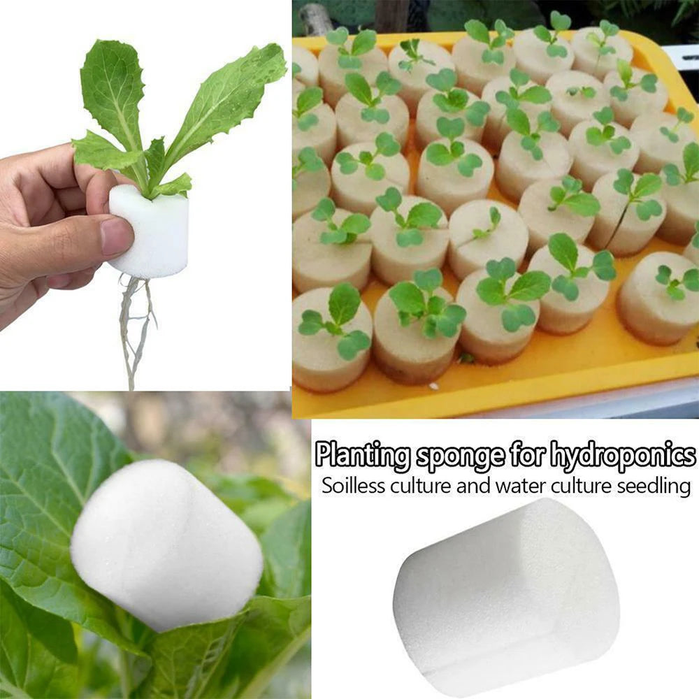 50PCS Plant Net Cup & 50PCS Cylinders Sponge For Hydroponics Aquaponics Orchids Plant Starting UV Resistant Plastic Net Cups Oasis Select