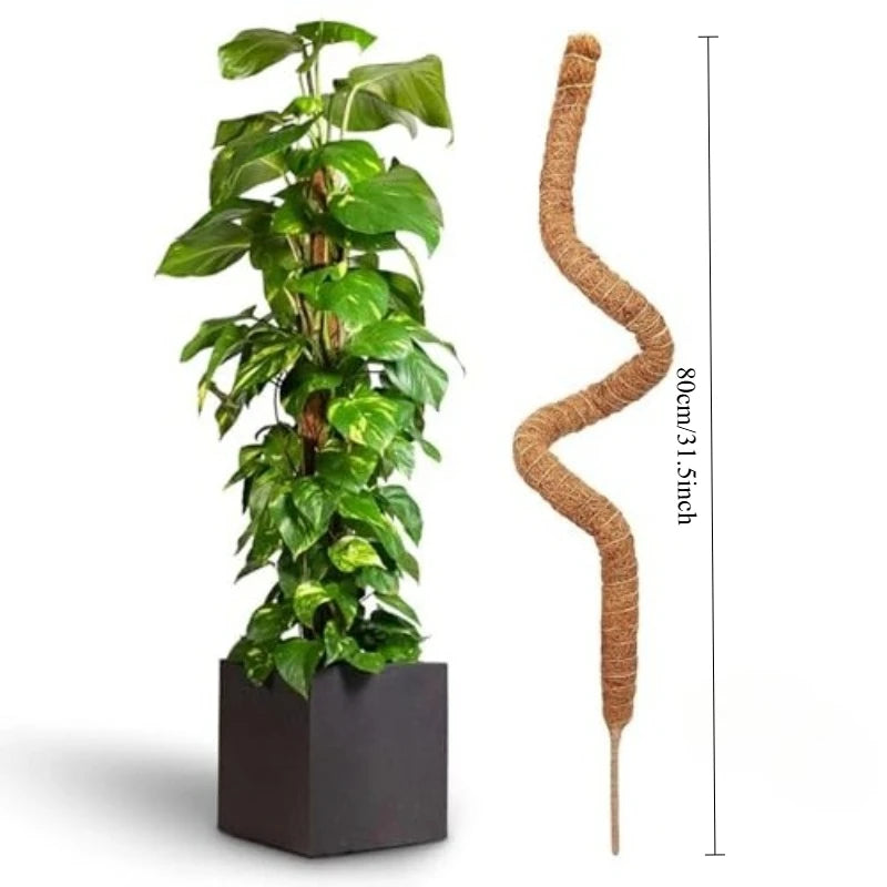 Plant Monstera Support Bendable Moss Pole for Plants Coconut Palm Fiber Monstera Handmade Coco Climbing DIY Garden Accessories Oasis Select Bendable 80CM