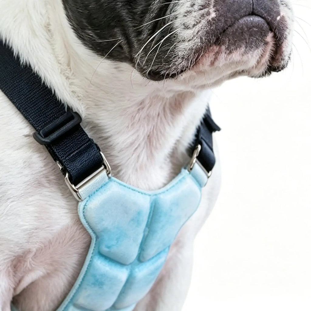Dog Cooling Vest – Gel Harness Jacket for Summer Walks & Outdoor
