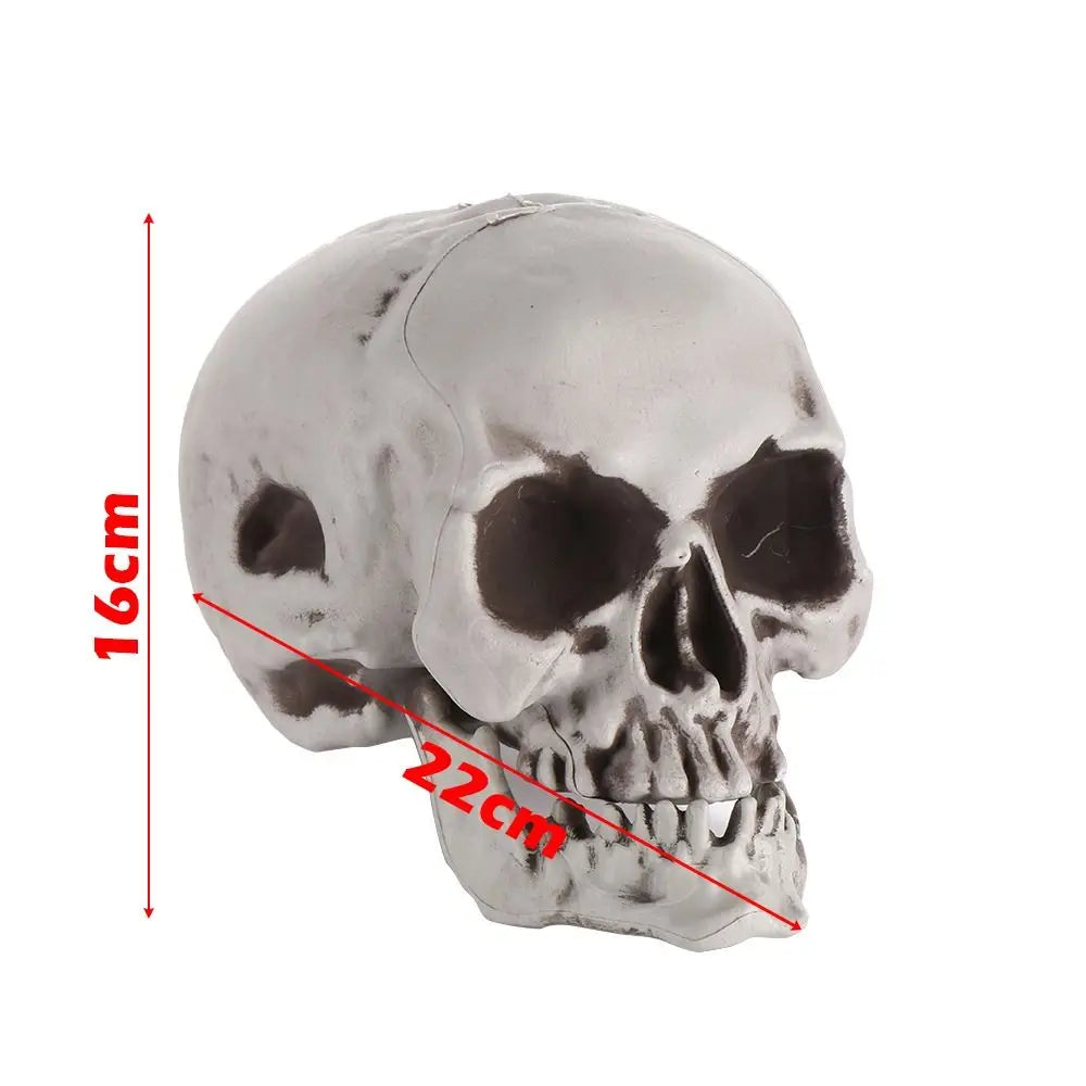 1PC All Size Party Decoration Home Decor Halloween Props Human Skeleton Skull Head Hanging Decor Oasis Select B-15x16x22cm