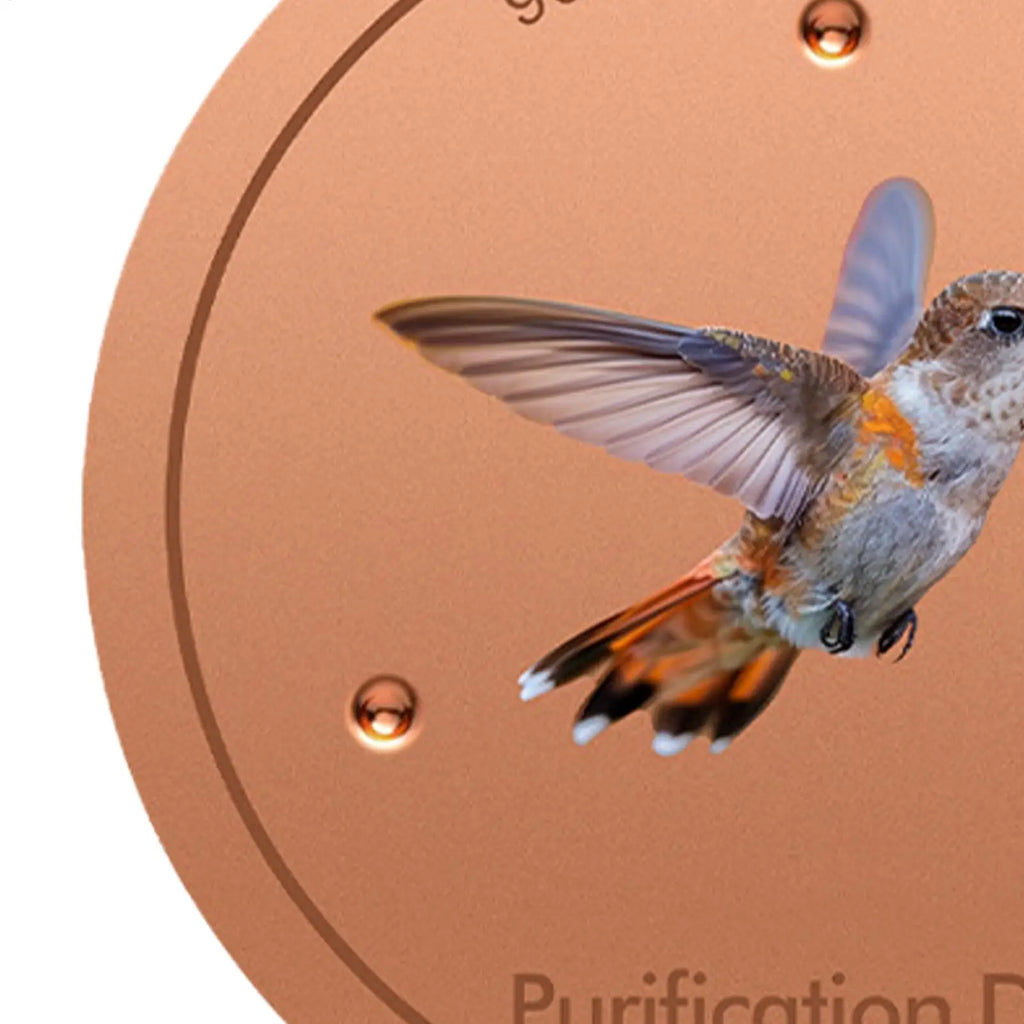 Metal Birds Bath Tray Copper Bird Bath Disk Outdoor Feeder Cleaning Accessories Triple-Point Support Purifier Disc Water Bowl Oasis Select