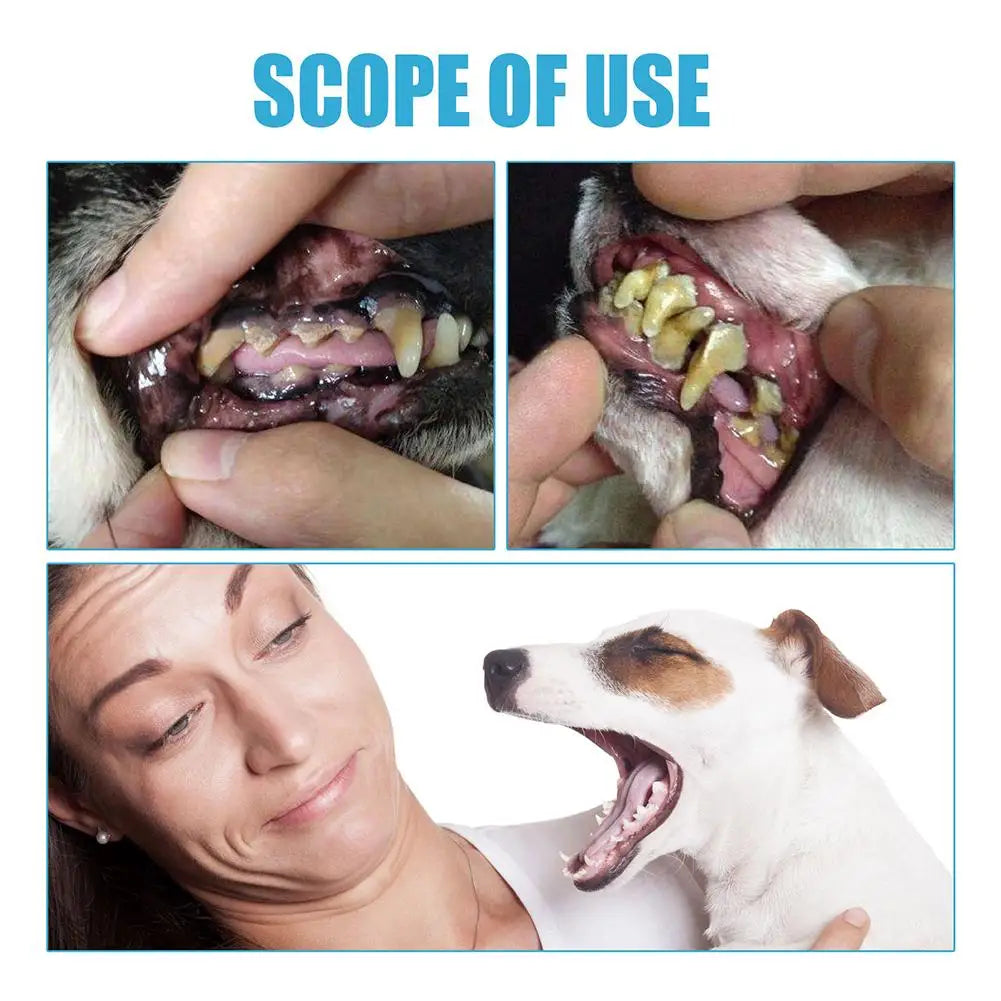 Pet Toothpaste for Dogs & Cats – Fresh Breath & Plaque Care