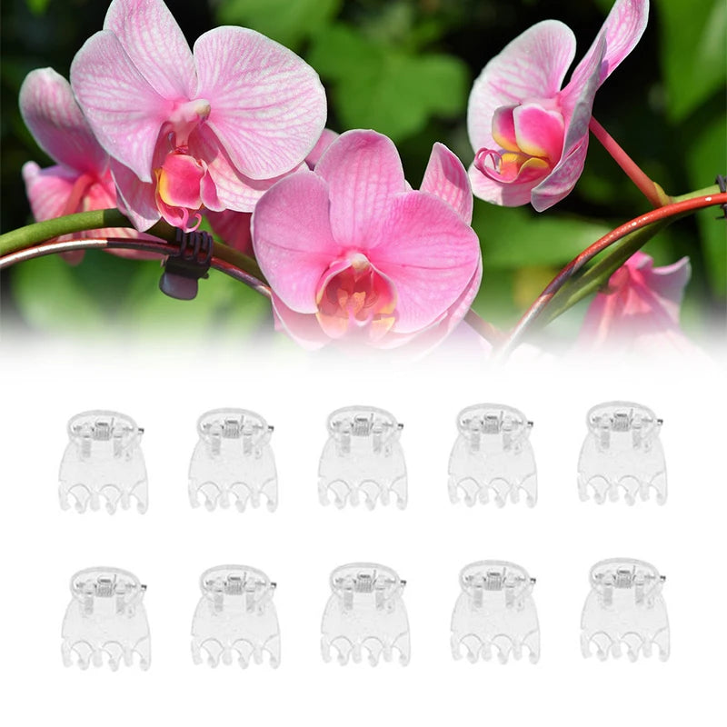 50Pcs Transparent 6 Claws Orchid Clips Plastic Butterfly Flowers Support Clear Fixer For Garden Vine Stem Plants Climbing Oasis Select