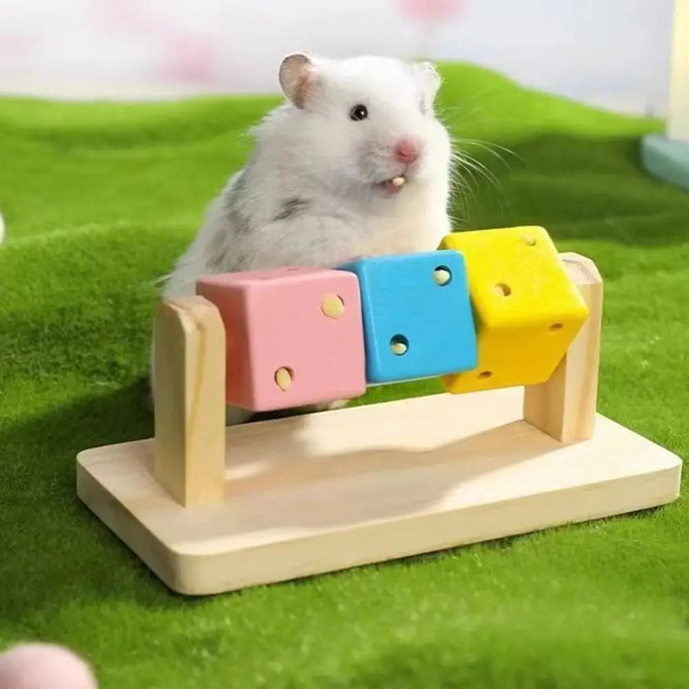 Hamster Fitness Cube Colorful Multi Faceted Activity Stress Relieving And Anti Depressant Toys For Hamster Sports Oasis Select