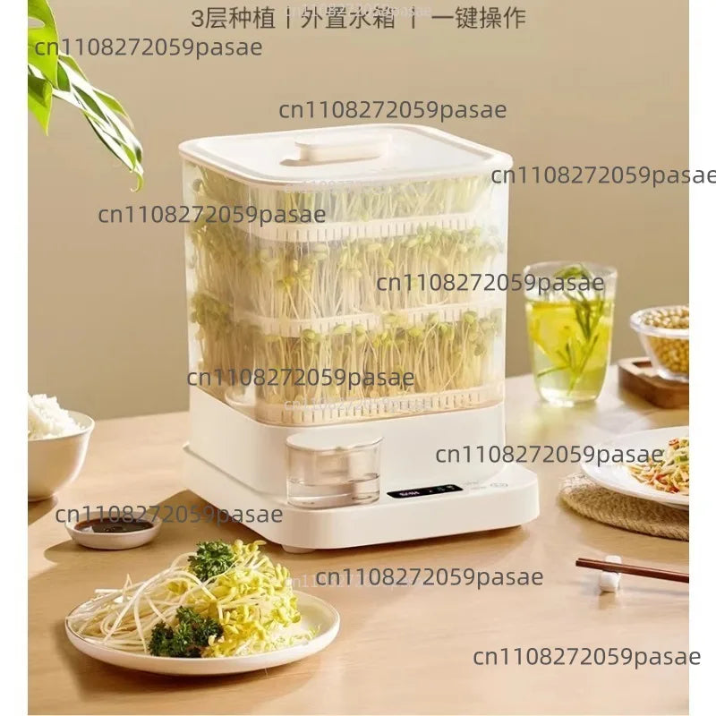 Automatic Bean Sprout Grower – Mung Bean Sprouting Pot