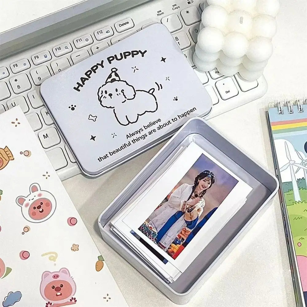 Cartoon Iron Storage Box Big Capacity Small Card Storage Box Desktop Storage School Stationery Kpop Photocards Oasis Select