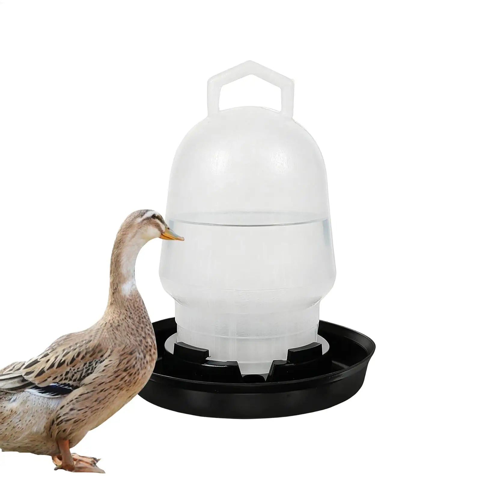 Automatic Chicken Waterer Poultry Drinker Duck Waterer for Duck Goose Pigeon Quail Livestock Coop Farm Feeding Drinking Oasis Select