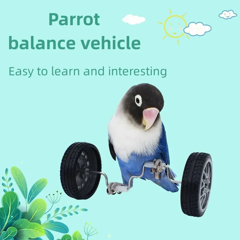 Parrot Balance Car Deboring Toys Small and Medium-Sized Bird Supplies Roller Skateboard Skill Training Props Phoenix Bird Toys Oasis Select