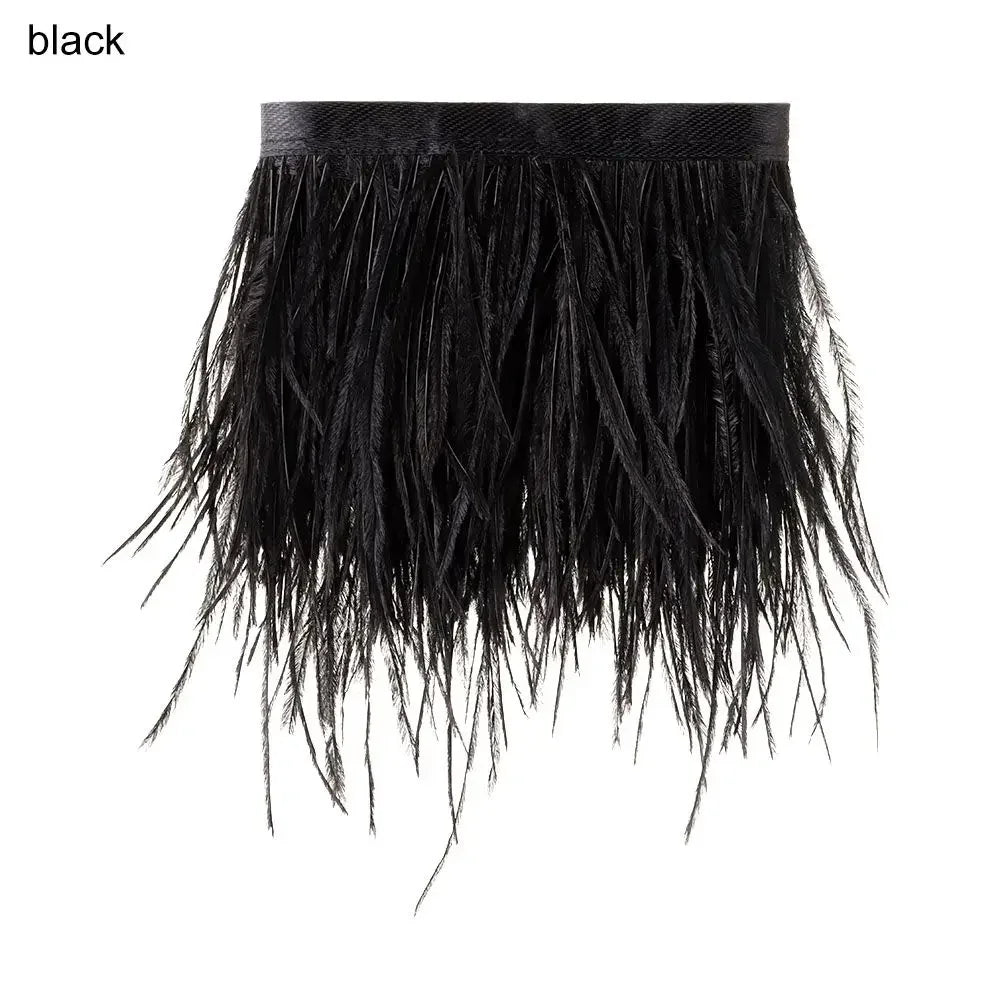 Fashion Ostrich Feathers Trim 1 Meter Long 8-10 CM Wide Plumes Ribbon Selvage DIY Dress Crafts Accessories Feathers Ribbon Oasis Select black