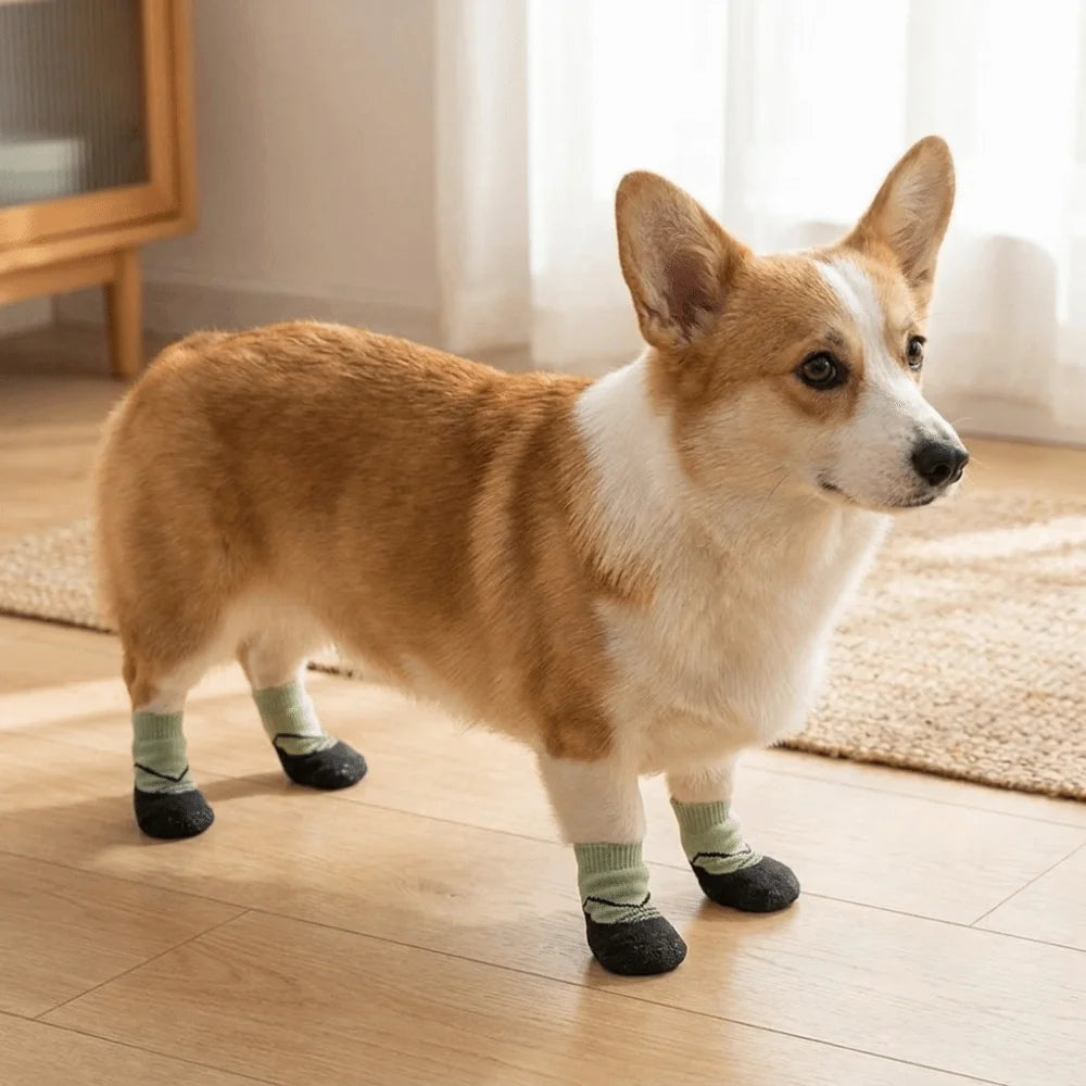 4PCS Waterproof Non-Slip Dog Shoes | Adjustable Paw Protectors Dog Paw Protectors Oasis Select
