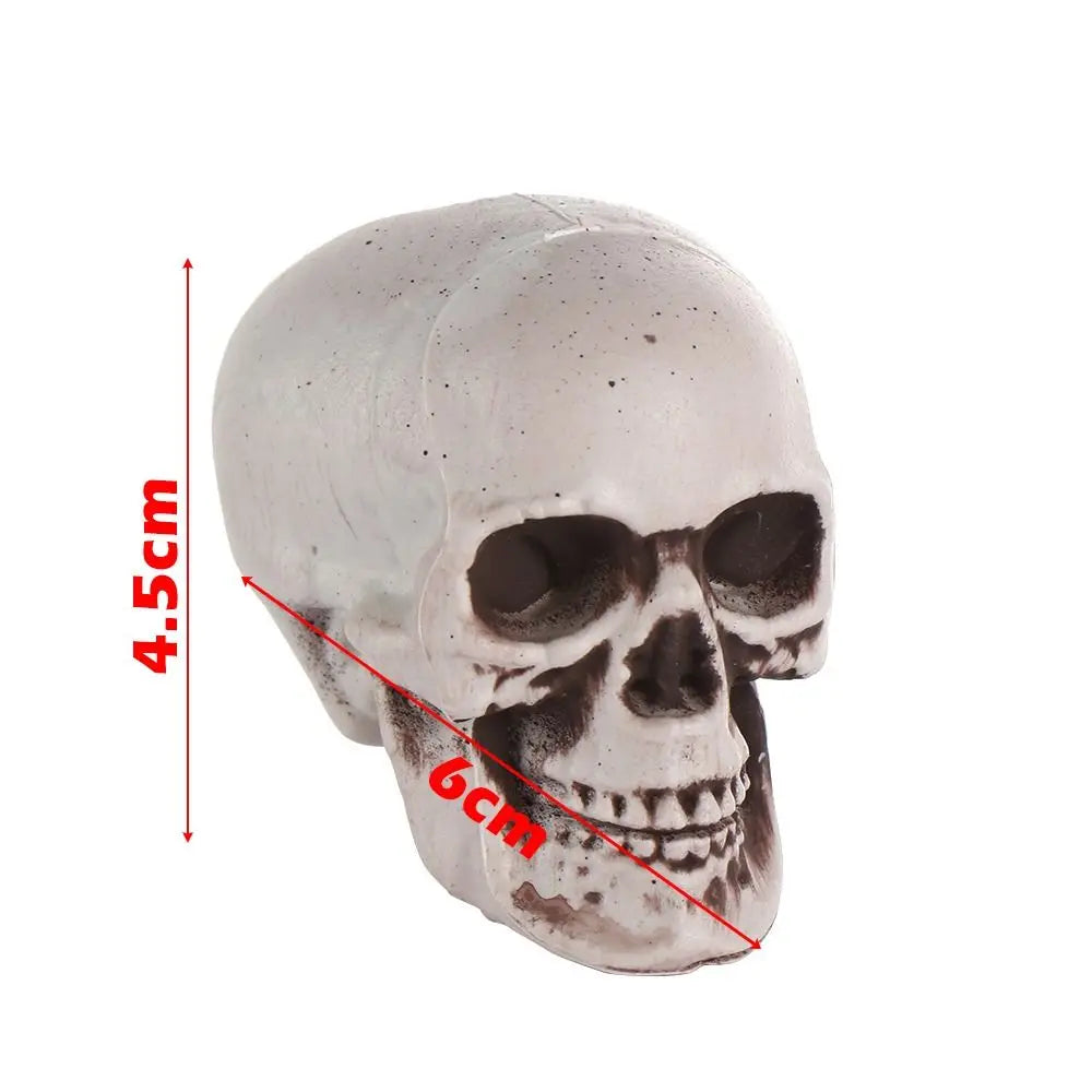 1PC All Size Party Decoration Home Decor Halloween Props Human Skeleton Skull Head Hanging Decor Oasis Select 4.5x4.5x6cm