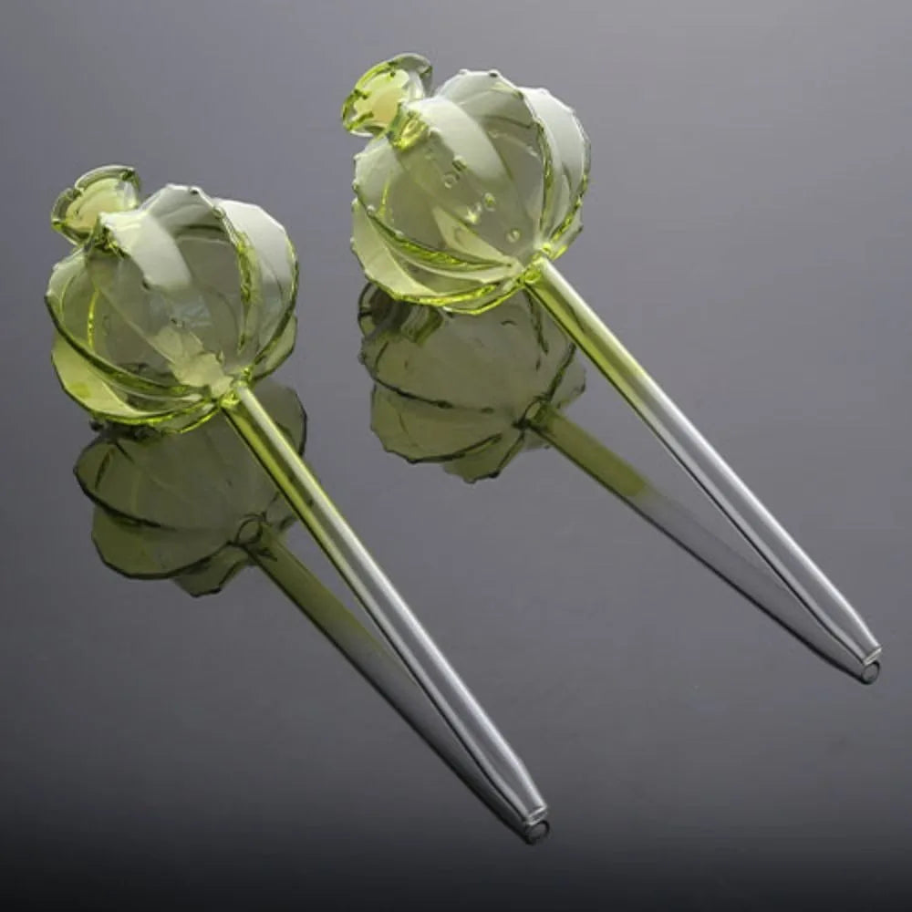 Cactus Glass Self-Watering Plant Bulbs | Automatic Feeder