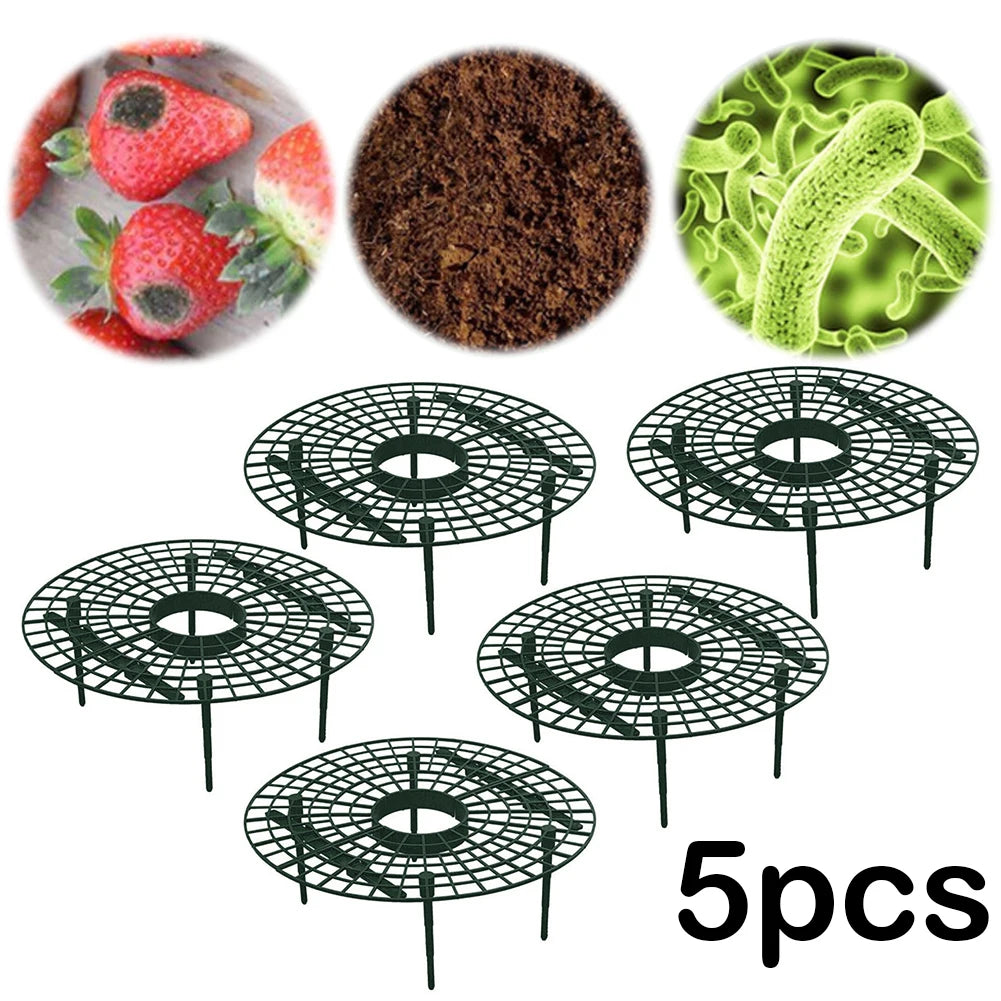 Strawberry Supports Keeping Plant Fruit Stand Vegetable Growing Rack Garden Tools for Protecting Vines Avoid Ground Gardening Oasis Select