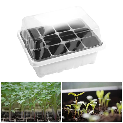 With Cover 12 Cells Seedling Trays White Square Portable Nursery Box Set Breathable Germination Box Greenhouse Oasis Select