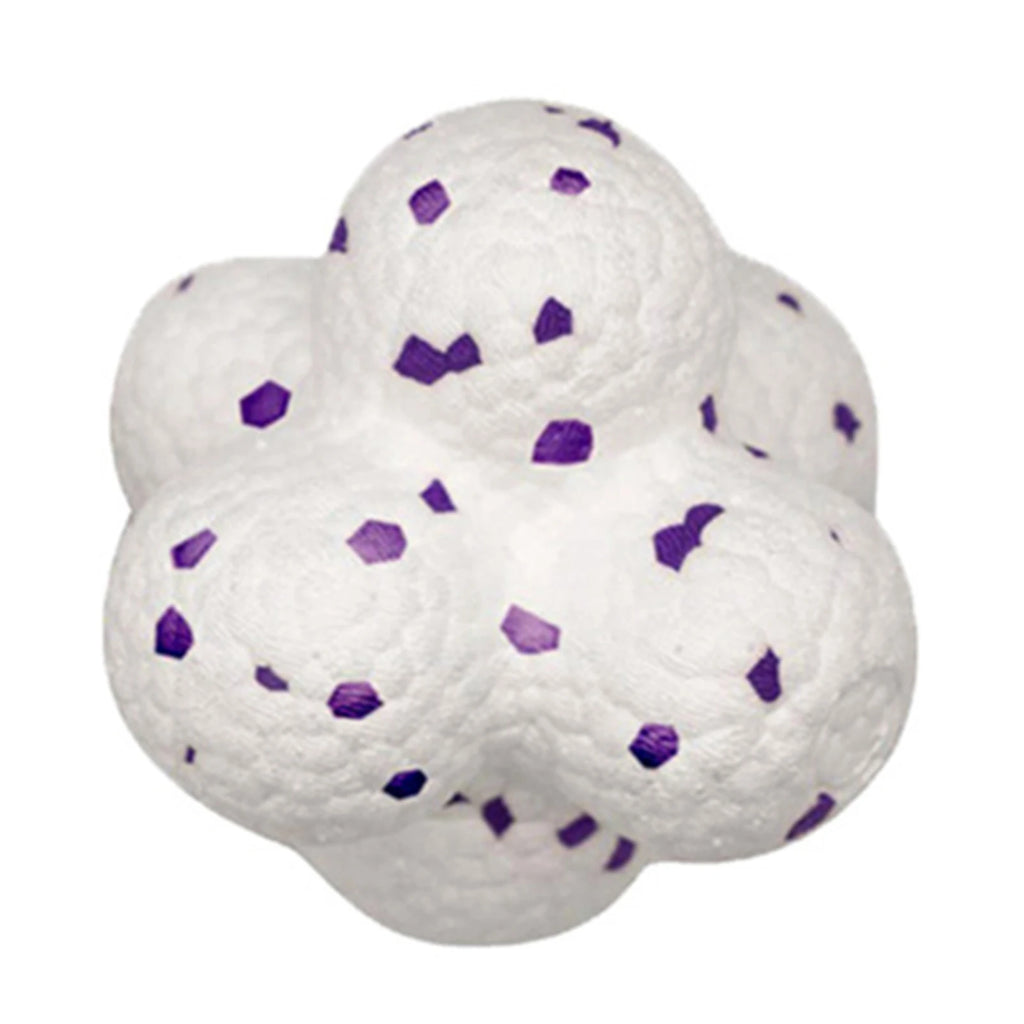 HOBBAGGO Squeaky Dog Ball – Interactive Chew & Teeth Clean Toy