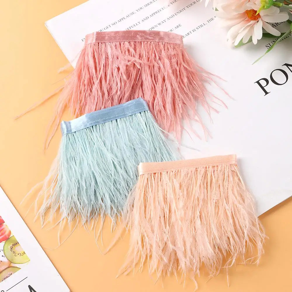 Fashion Ostrich Feathers Trim 1 Meter Long 8-10 CM Wide Plumes Ribbon Selvage DIY Dress Crafts Accessories Feathers Ribbon Oasis Select