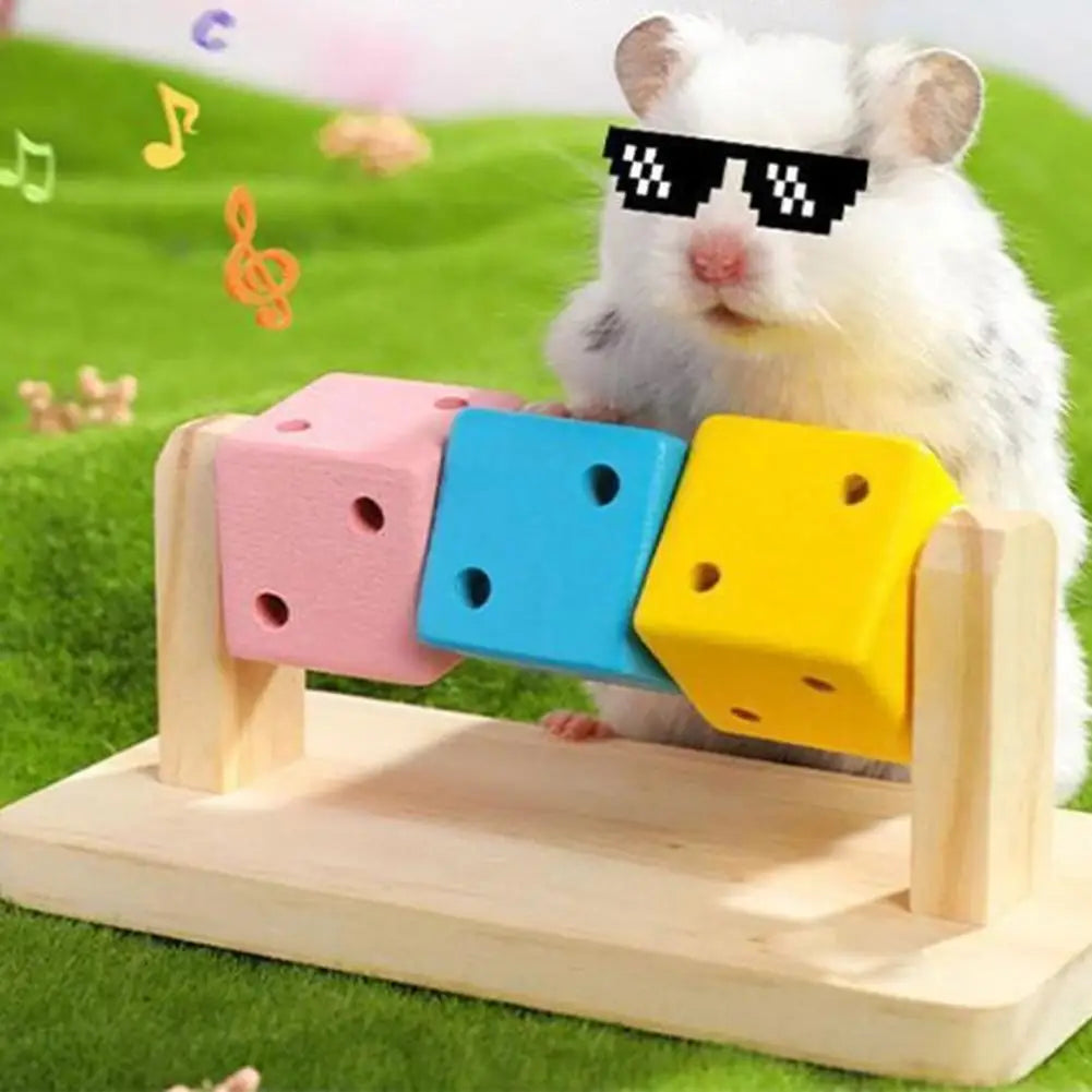 Hamster Fitness Cube Colorful Multi Faceted Activity Stress Relieving And Anti Depressant Toys For Hamster Sports Oasis Select