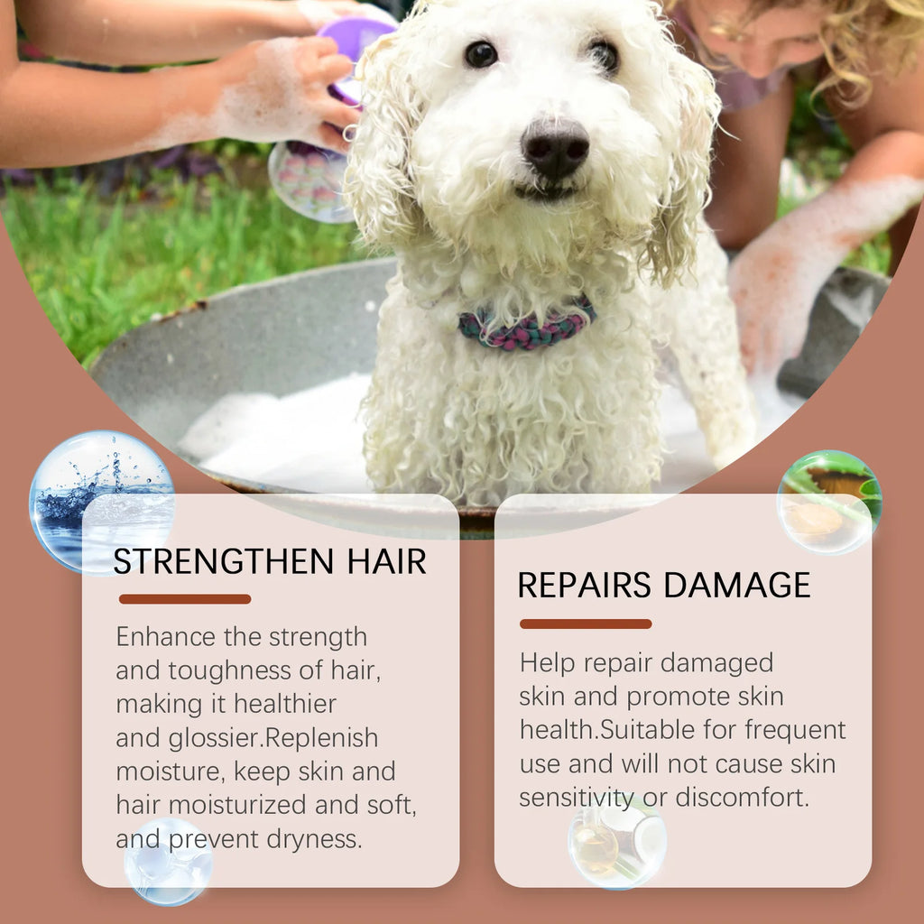 Anti-Itch Dog Shampoo with Coconut Oil – Relieves Itching Dog Grooming Shampoo Oasis Select