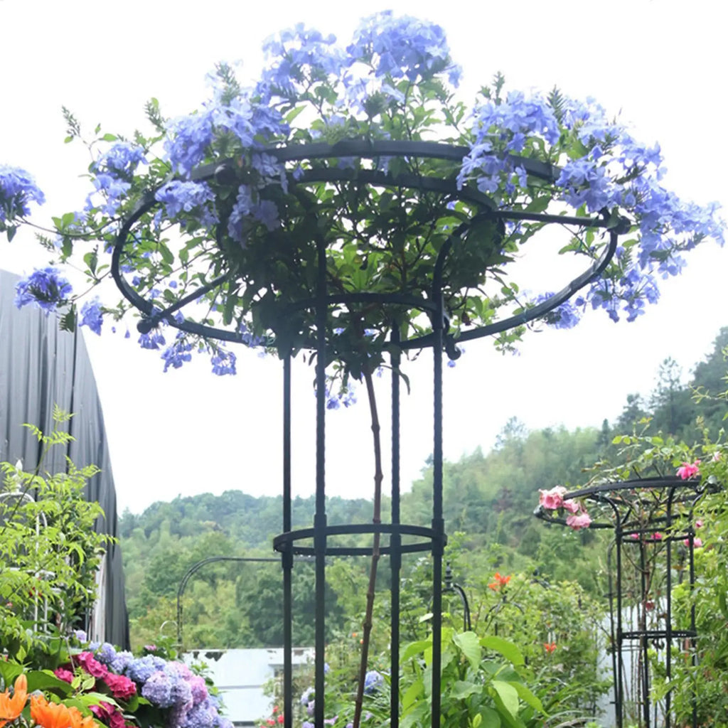 Trellis for Climbing Plants Outdoor Vegetable Vertical Support Frame Outdoor Gardening Support Trellis for Climbing Plants Oasis Select