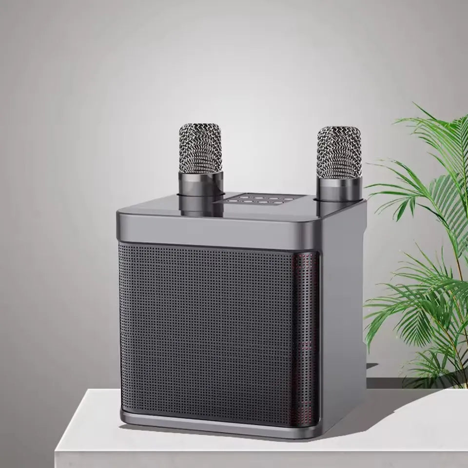 AyeBeau Portable Karaoke Bluetooth Speaker with Microphone