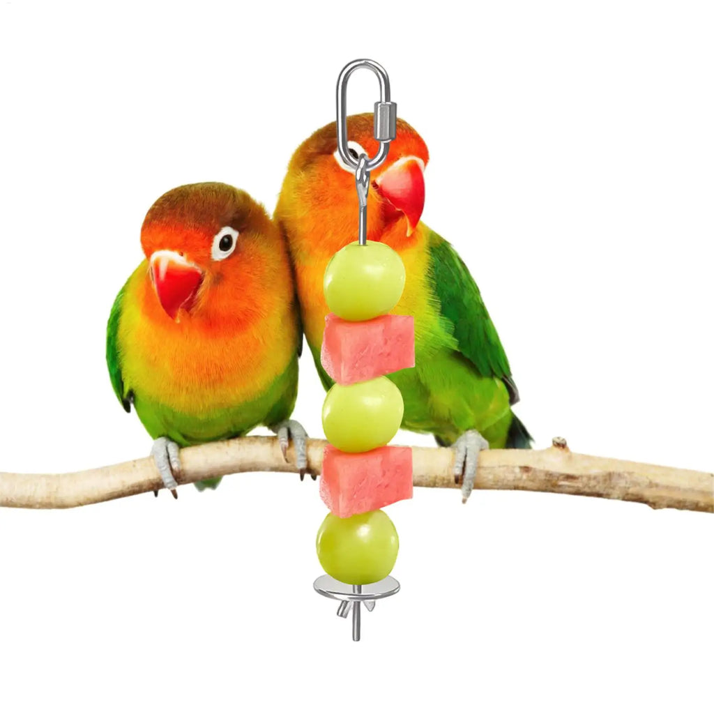 Bird Cage Food Skewer Stainless Fruit Stick Holder Bird Food Holder for Cage Foraging Macaw Parakeet Cockatiel Conure Finch Oasis Select