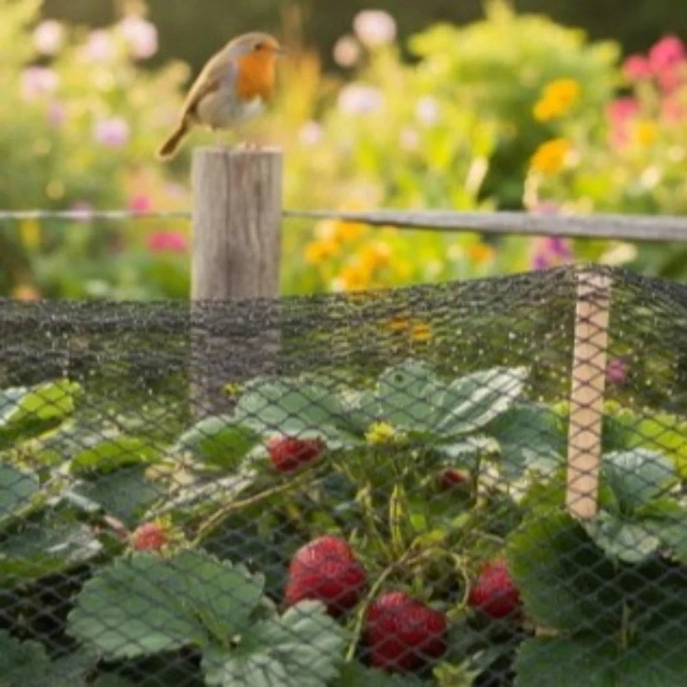 Anti Bird Garden Netting Mesh Reusable Heavy Duty Pond Fencing Mesh PE Material Black Plant Netting Vegetable Protection Oasis Select