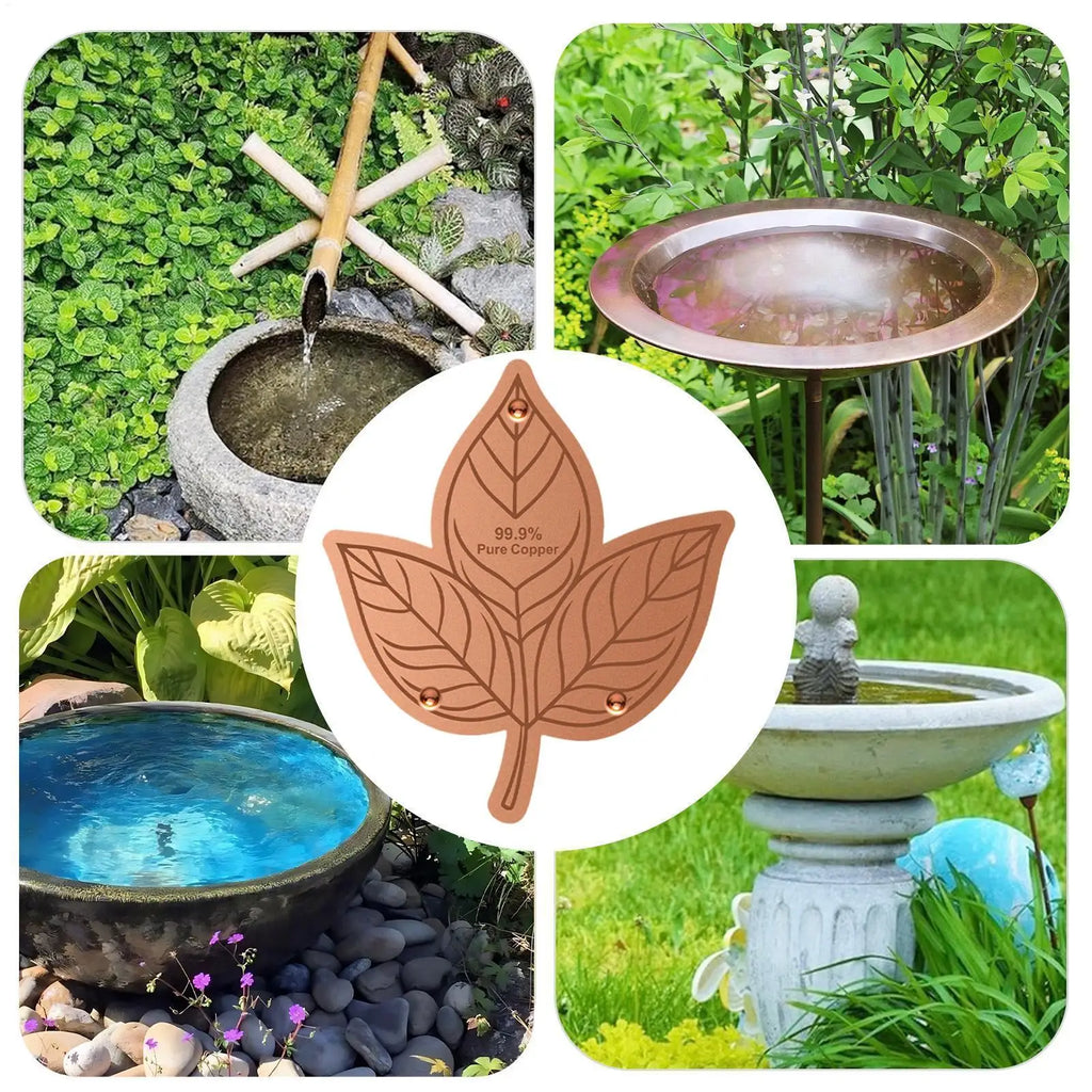 1PC Bird Bath Copper Birdbath Purifier With Triple-Point Support Bath Disk Ornaments Feeder Accessories For Outdoor Bird Baths Oasis Select