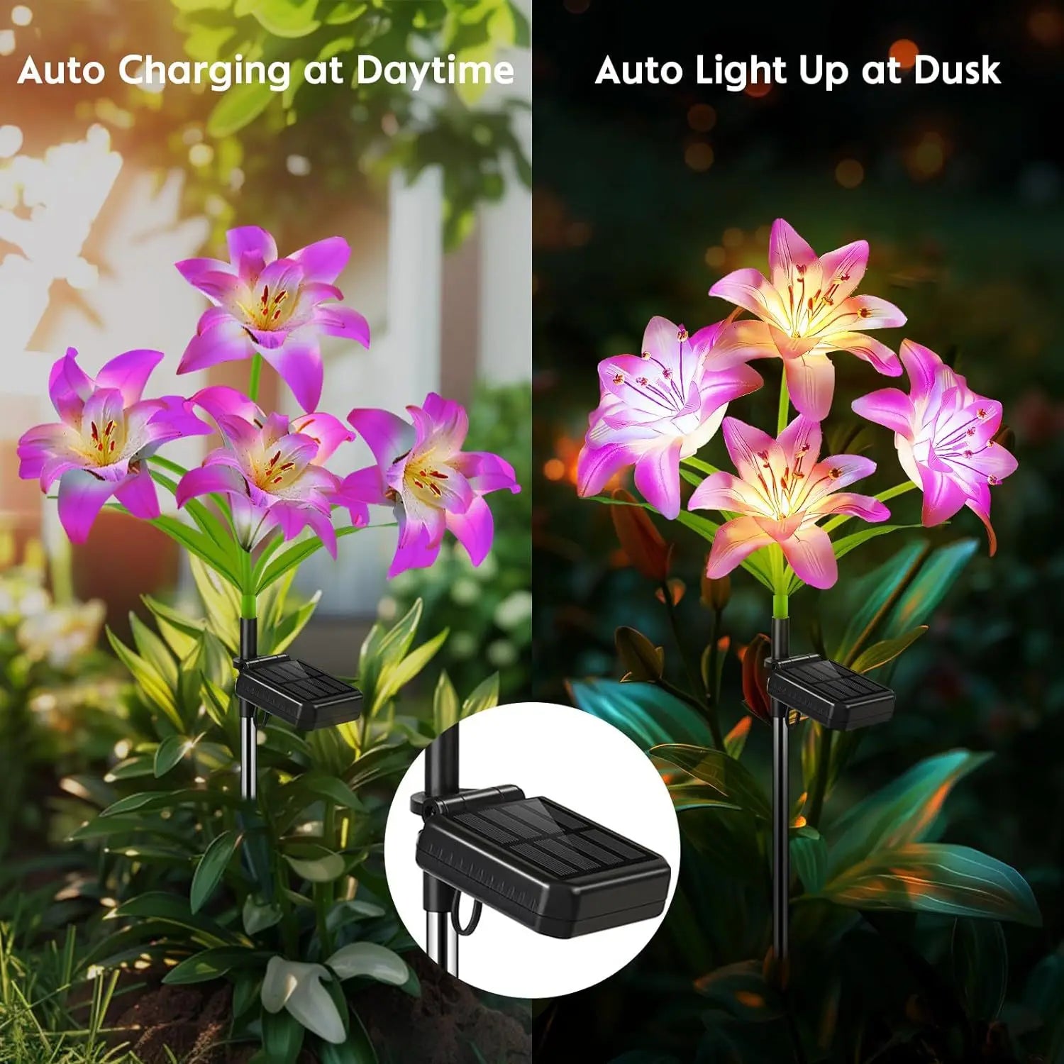 Solar Outdoor LED 4-head Dahlia Decorative Lamp, Garden and Lawn Lamp, Waterproof and No-wiring Lamp Oasis Select