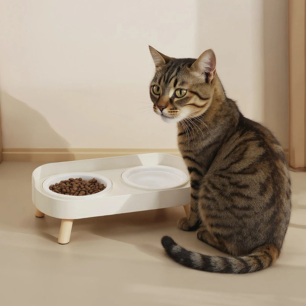 Double Pet Bowl No Spill Food Water Feeder with Stand Neck Support for Cats Dogs Anti Knock Anti Slip Elevated Design Oasis Select