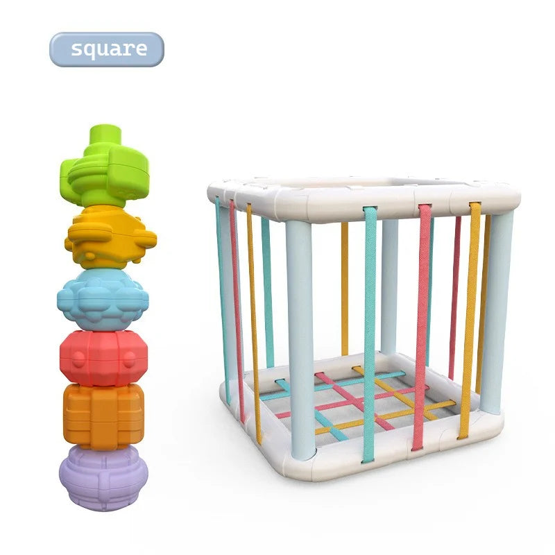 Montessori Baby Toys 18 Months Sensory Development Learning Educational Toys Colorful Blocks Sorting Game For Babies Infant Oasis Select Cube