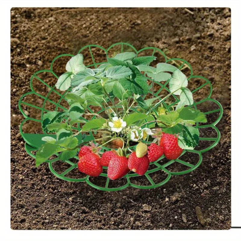 5/10pcs Strawberry Plant Supports with Three Sturdy Legs Provide Protection for Strawberries Against Mold, Rot, and Dirt Oasis Select
