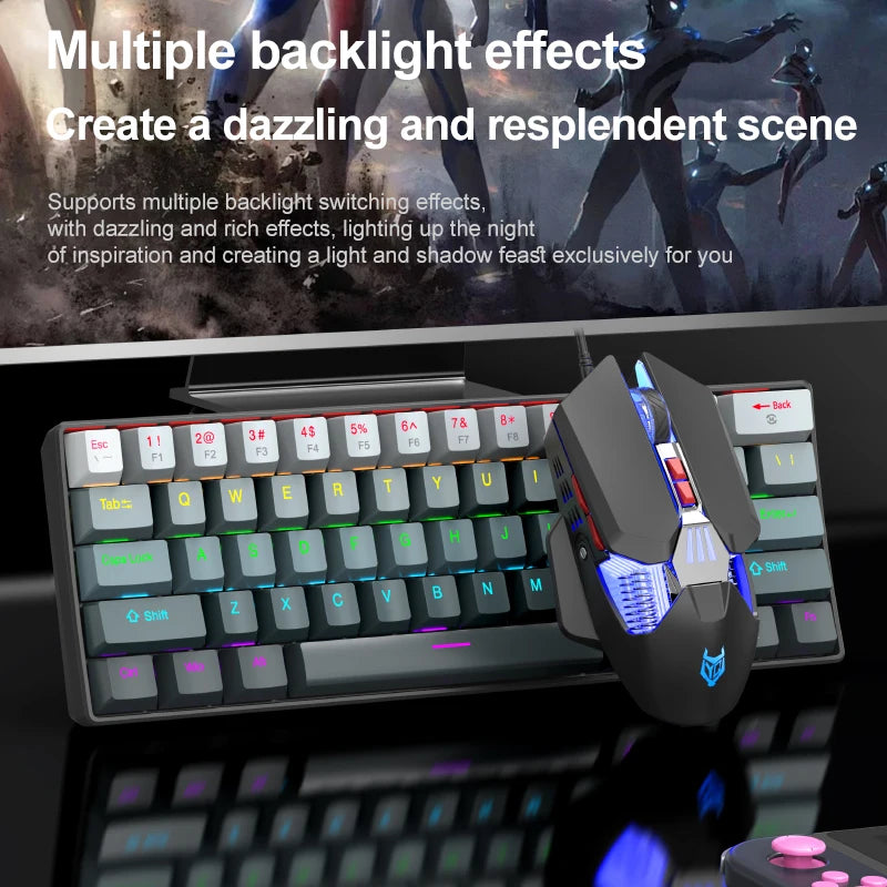 APAYADO K61 Mini Mechanical Keyboard,Wired,61 Keys,Phantom RGB, Black/White Red/Blue Mechanical Switch for Gaming,60% Portable Oasis Select